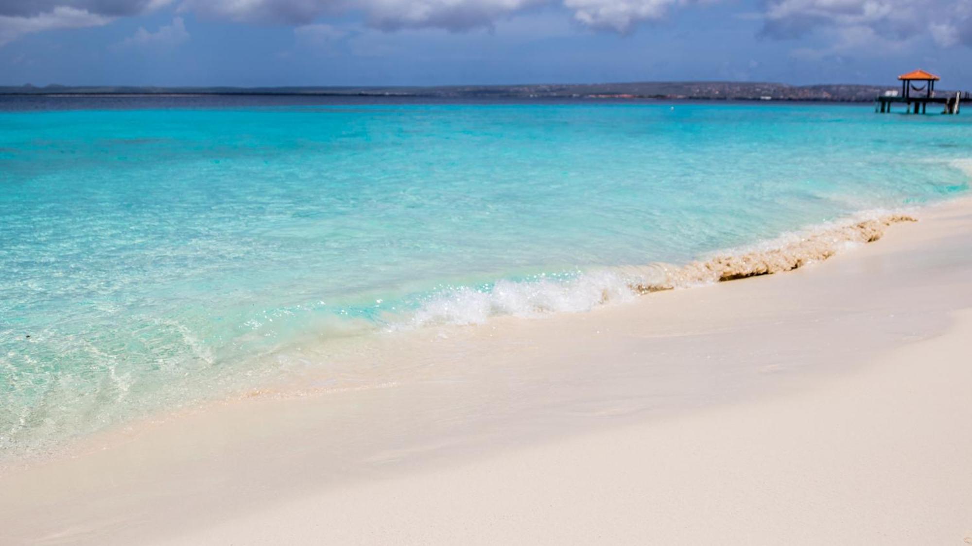 Isla Penthouse & Garden Apartments Bonaire Playa Kültér fotó