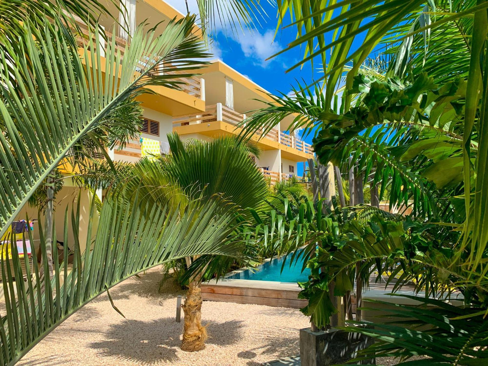 Isla Penthouse & Garden Apartments Bonaire Playa Kültér fotó
